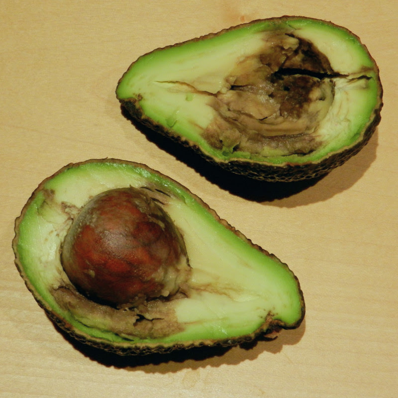 Vergrösserte Ansicht: Aufgeschnittene Avocado mit faulen Stellen