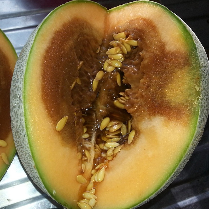 Vergrösserte Ansicht: Faule aufgeschnittene Melone