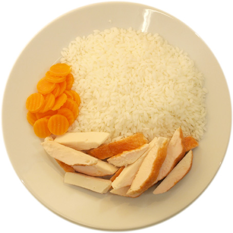 Hühnchen mit sehr viel Reis und sehr wenig Karotten